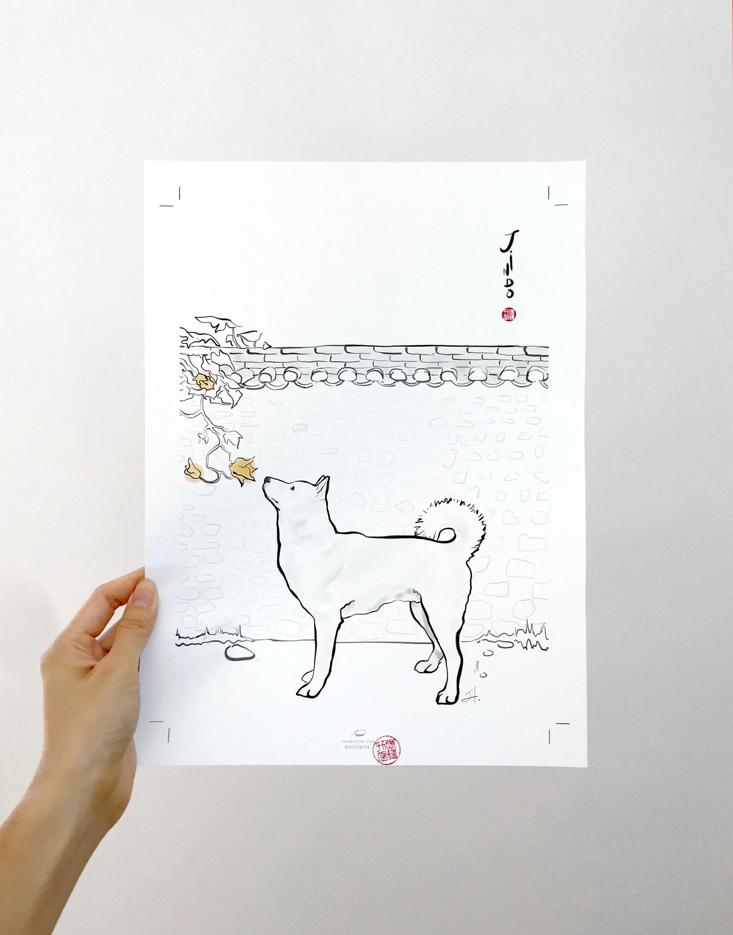 Jindo Gae Korea Art Print
