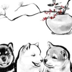 Shiba puppies & Holly Greeting Card | December Birth Month Flowers Winter Holidays New Year Sumi Ink