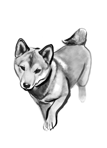 Custom Sumi Ink B&W Pet Portrait