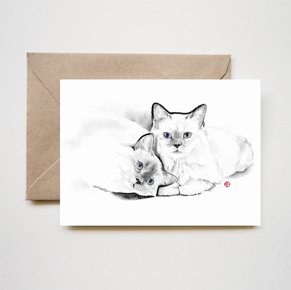 Purrfect Cats Greeting Card