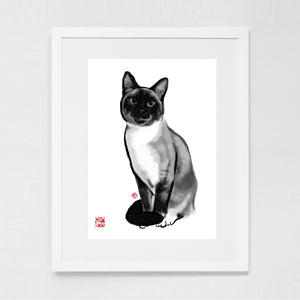 Siamese Cat Art Print Poster