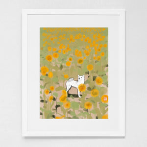 Shiba Inu in Sunflowers Art Print Poster